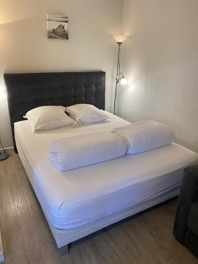 Les Studios D'Elena Annecy Exteriör bild